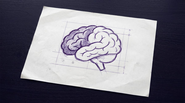 a stylized human brain in profile view, with the frontal lobe area distinguished from the rest of the brain by distinct shading
