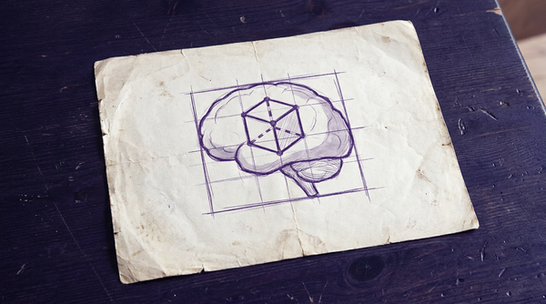 a single, highlighted, three-dimensional wireframe cube, representing a voxel, positioned within the anterior cingulate cortex region of a simplified, translucent, sagittal view of a human brain